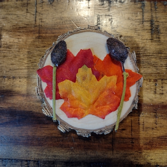 NEW, handmade Bundle of 5 Fall Themed Magnets - Picture 6 of 8